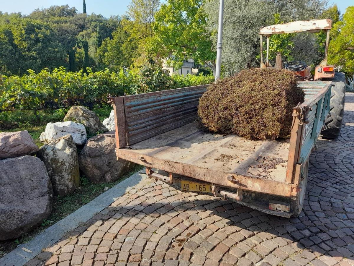 Casa El Paso Apartment Padenghe sul Garda Luaran gambar
